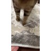 Круглый Ковер Для Гостиной Дизайн 305398
